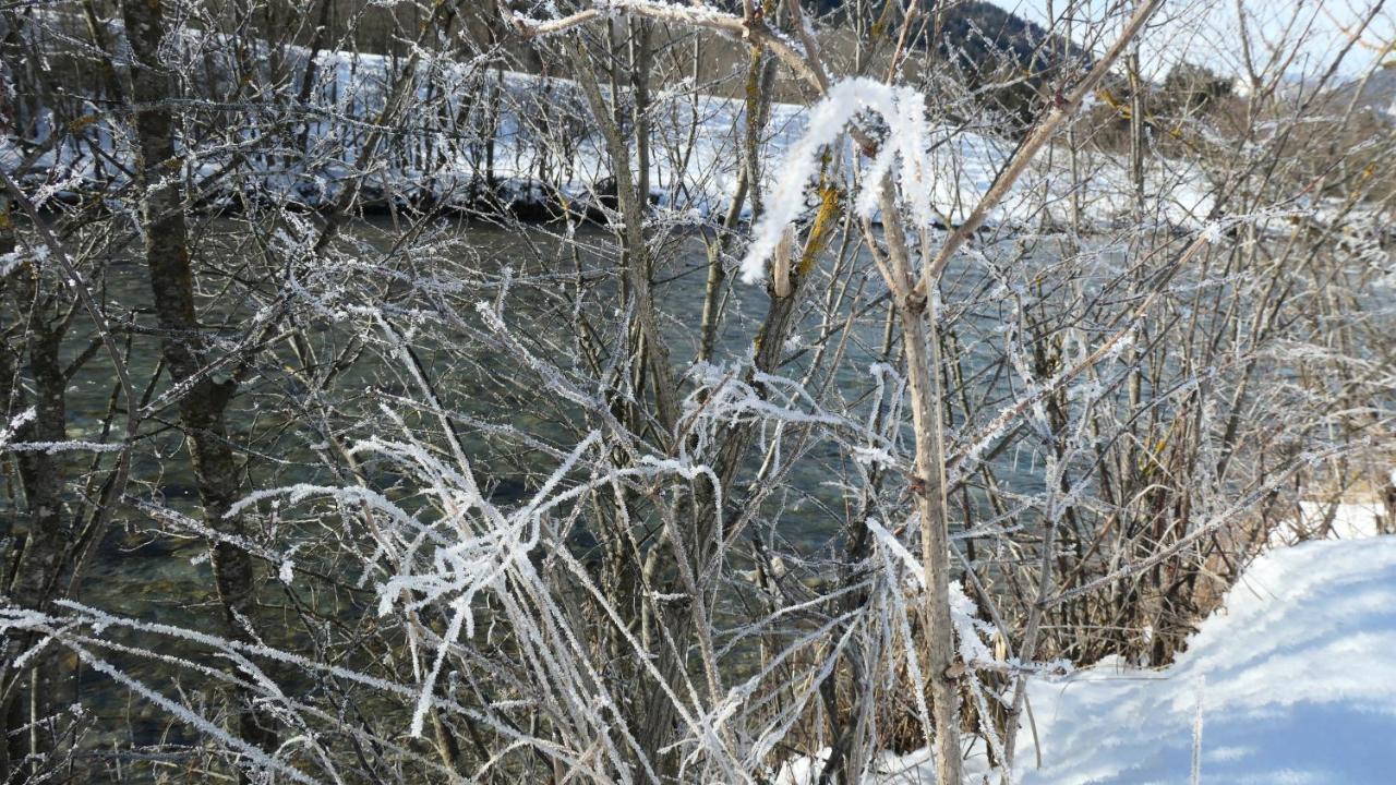 Haus Pleterski Lägenhet Obervellach Exteriör bild